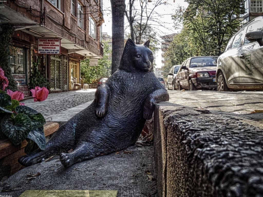 ការយល់ដឹងអំពីតំលៃនៃការប្រកួត